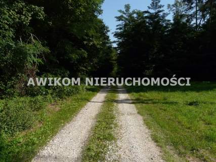 Działka budowlana na sprzedaż, 4034 m2, Olszanka