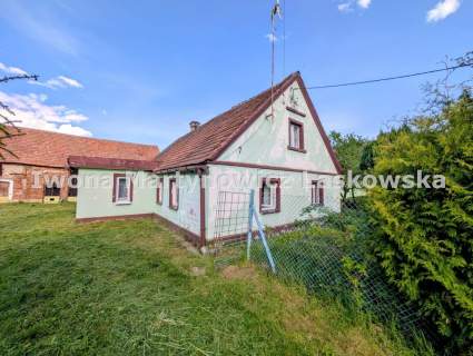 Siedlisko - 1,18 ha działka, Boraszyn, Gmina Wołów
