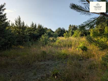 Działka z linią brzegową / zabudowa mieszkaniowa