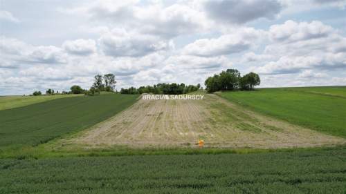 Działka rolna na sprzedaż, 30500 m2, Prandocin-Iły