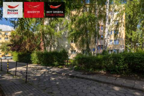 Mieszkanie w sąsiedztwie lasu OBC Spółdzielcze
