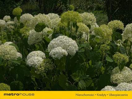 Dochodowa agroturystyka NOWOGRÓDEK