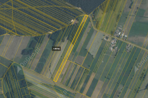 Pakiet Ziemi 4,64 ha, Nowa Wieś, gm.Siemiątkowo, pow.żuromin