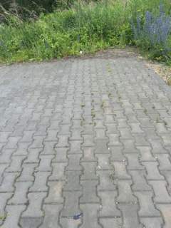 Duża działka budowlana w Jurze