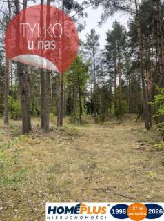 Działka w lesie 2064 m - letniskowa i całoroczna