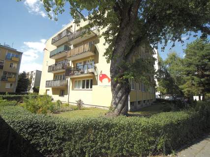 Mieszkanie po remoncie pierwszy najemca