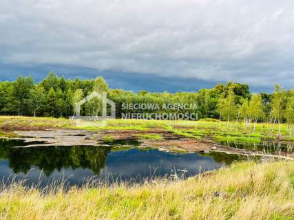 Działka siedliskowa 100.358m2, Jaroszewy/Skarszewy