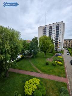 Tysiąclecie 3 pokoje - duży balkon 