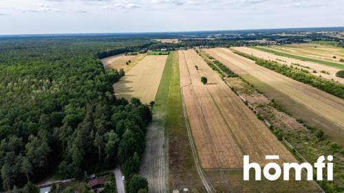 Dom w okolicy Puszczy Kozienickiej