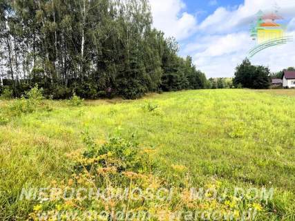 Działka rolno-leśna w Petrykozach - 16 975 m2