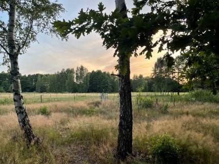 Działka z domem letniskowym w przepięknej okolicy