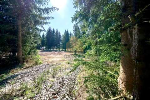 Działki budowlane po 1500 m Zawonia Media