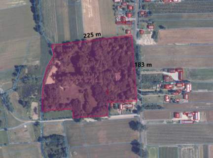 HISTORYCZNA NIERUCHOMOŚĆ Z PARKIEM DWORSKIM I STAWEM