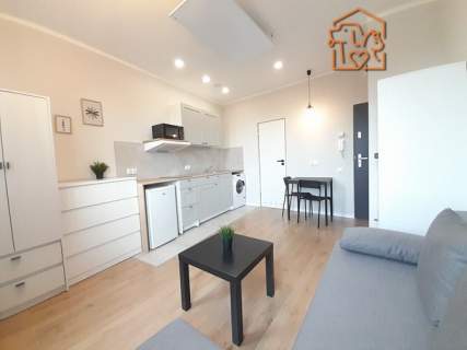 Studio w centrum, pet-friendly - Cmentarna 26