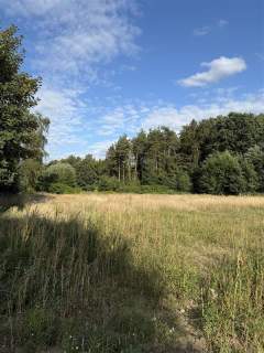 Działka - Stare Bielice