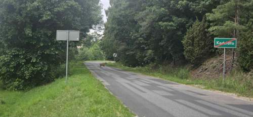 Działka z widokiem na las, 1810m2 w Kadzidle