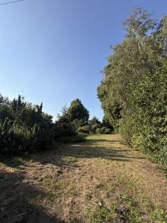 Działka budowlana z mediami, 2244 m, Gumowo, blisko Ciechan