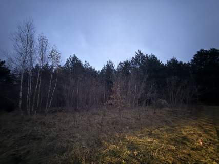 Okazja Duża działka rolna w Borkowie 9802m2