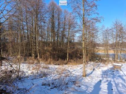 Dom i budynki , 6,5 ha gruntów , gmina Gnojno , pow. Buski ,...