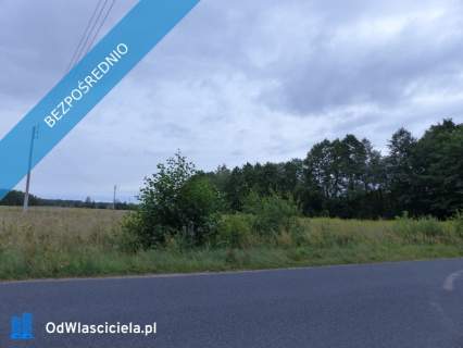 Działki rolno-budowlane k. Płocka, Lipna