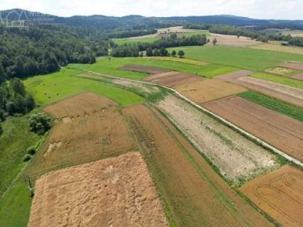 UROKLIWA DZIALKA 1,10 HA W JODŁOWEJ - OTOCZONA NATURĄ, Z P