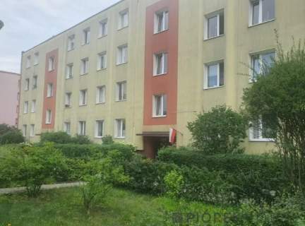 2-pokojowe mieszkanie w Wesołej