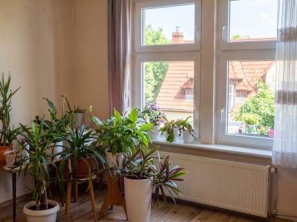 Przestronne 119,5 m dla rodziny Wierzbięcice 59