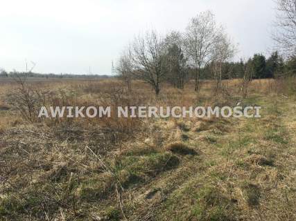 Działka rolna na sprzedaż, 20200 m2, Szeligi