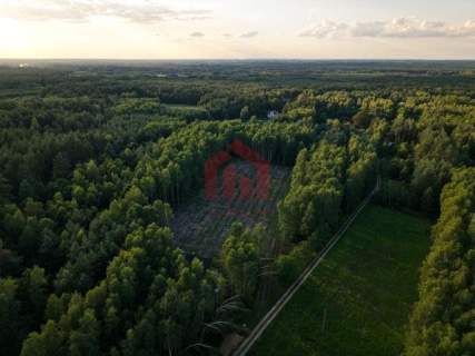Działki budowlane lesie - Zarezerwowane
