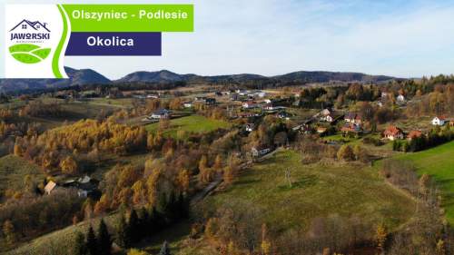 PROMOCJA - Działki - Olszyniec - PODLESIE