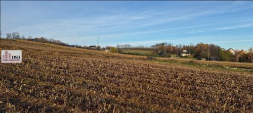 Młodziejowice, atrakcyjna, prawie płaska, 18 ar