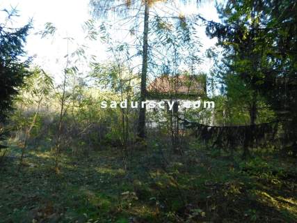 Działka budowlana na sprzedaż, 4100 m2, Biały Ług