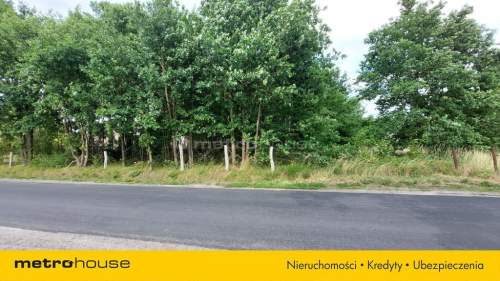 Działka pod zabudowę w Maszewie 2400 m2