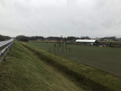 Działka inwestycyjna Sulechów Obłotne, usługi