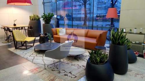 Wola lokal biurowy 495m2 do wynajęcia