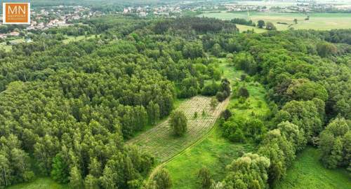 Las,dębow,TANIO 3 ha,inwestycyjjna,pod żwirownie
