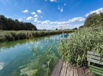 Działka z linią brzegową rzeki i prywatnym lasem