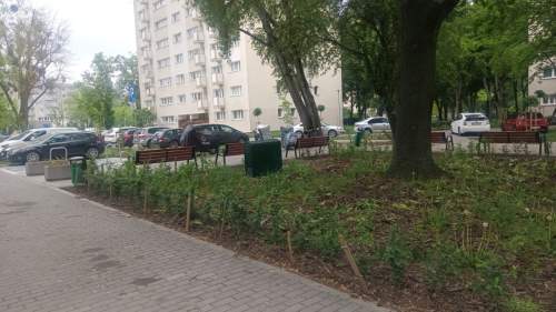 DO NEGOCJACJI, METRO MŁOCINY, LAS BIELAŃSKI