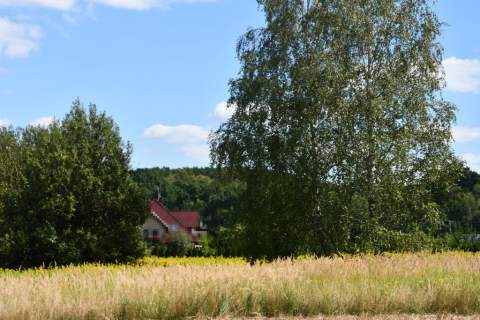 Działka rolna 43a - Strażów
