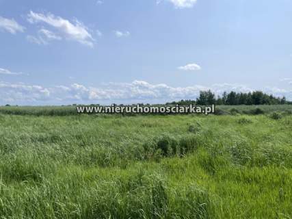Działki budowlane Wodzisław Śląski