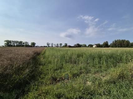 Do sprzedania działka 1246 m2