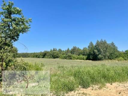 Kompleks działkek budowlanyc w Justynowie 6878m2