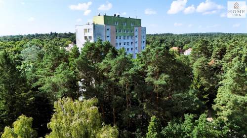 3-pokojowe mieszkanie z widokiem na korony drzew.