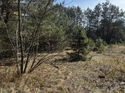 Duża działka letniskowa blisko rzeki Narew