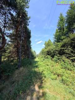 Piękna, duża działka w Biskupicach