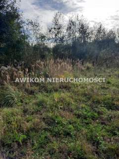 Działka rekreacyjna na sprzedaż, 7997 m2, Szczęsne