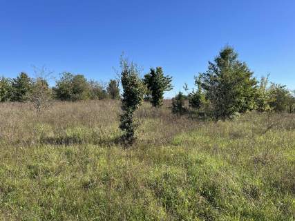 Działka na Mazurach - 3 chwile do jeziora