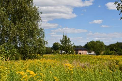 Działka rolna 43a - Strażów