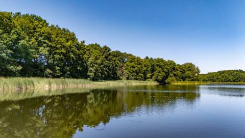 Jezioro, las i święty spokój   unikalne działki 