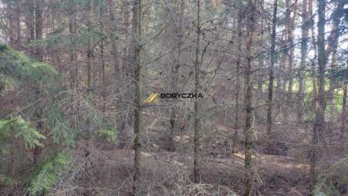 Dom Wał-Ruda, z własnym lasem 0,68 ha.
